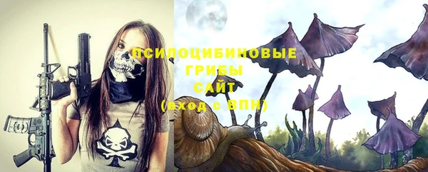 jwh Ладушкин