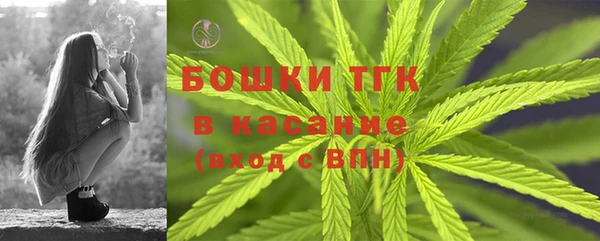 винт Лабытнанги