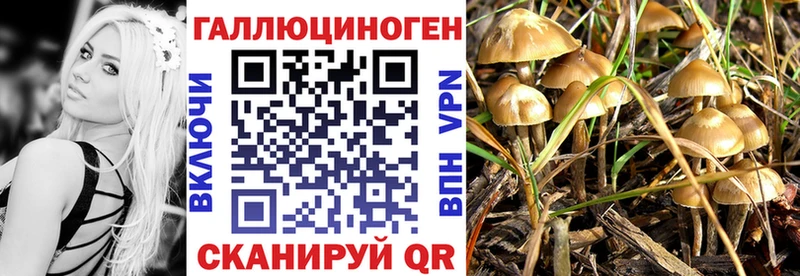 mega ссылки  Прокопьевск  Псилоцибиновые грибы Magic Shrooms  наркота 